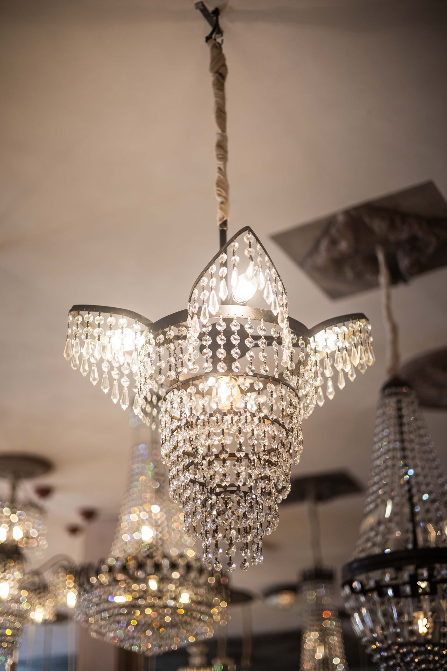 Cardella Chandelier