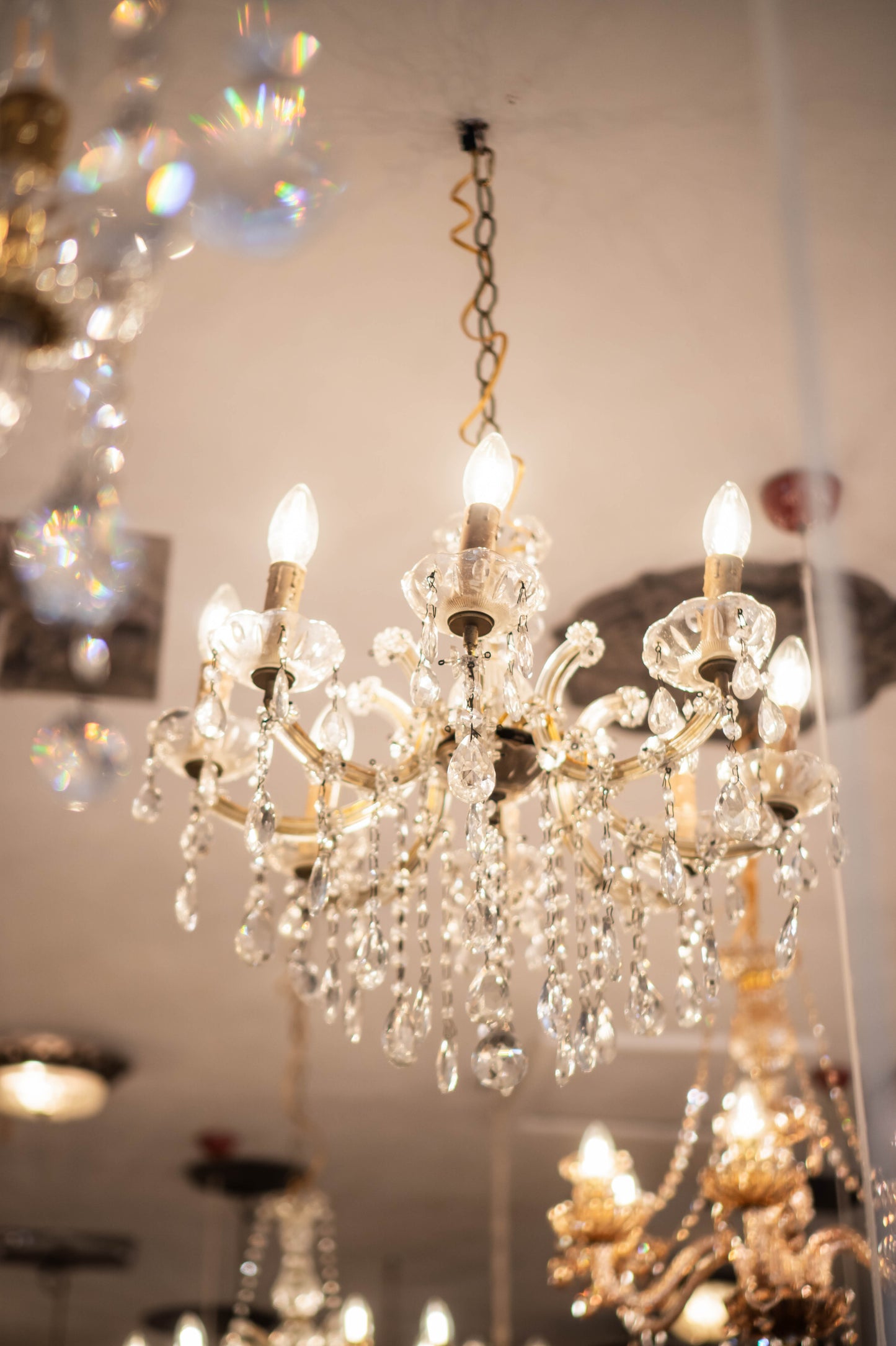 Fenella Chandelier