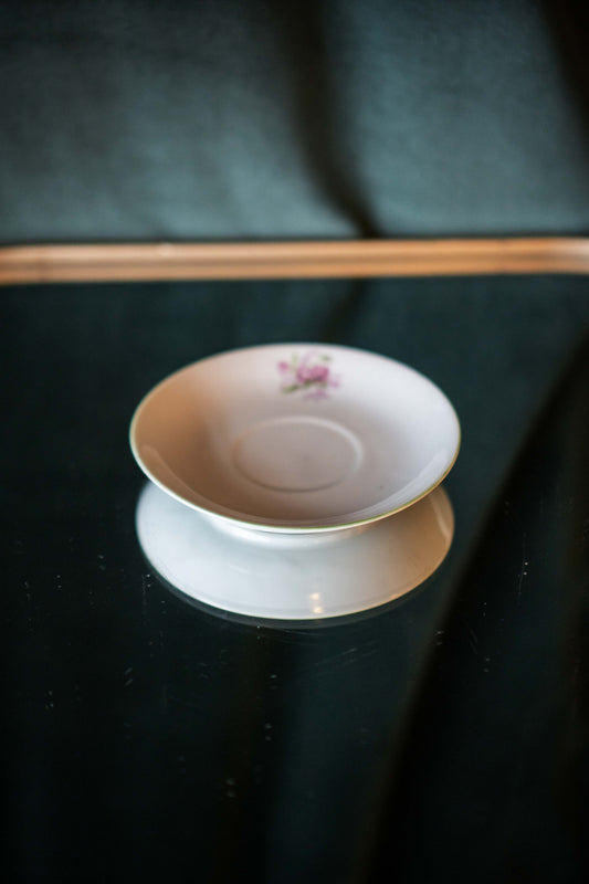 Anemone Saucer